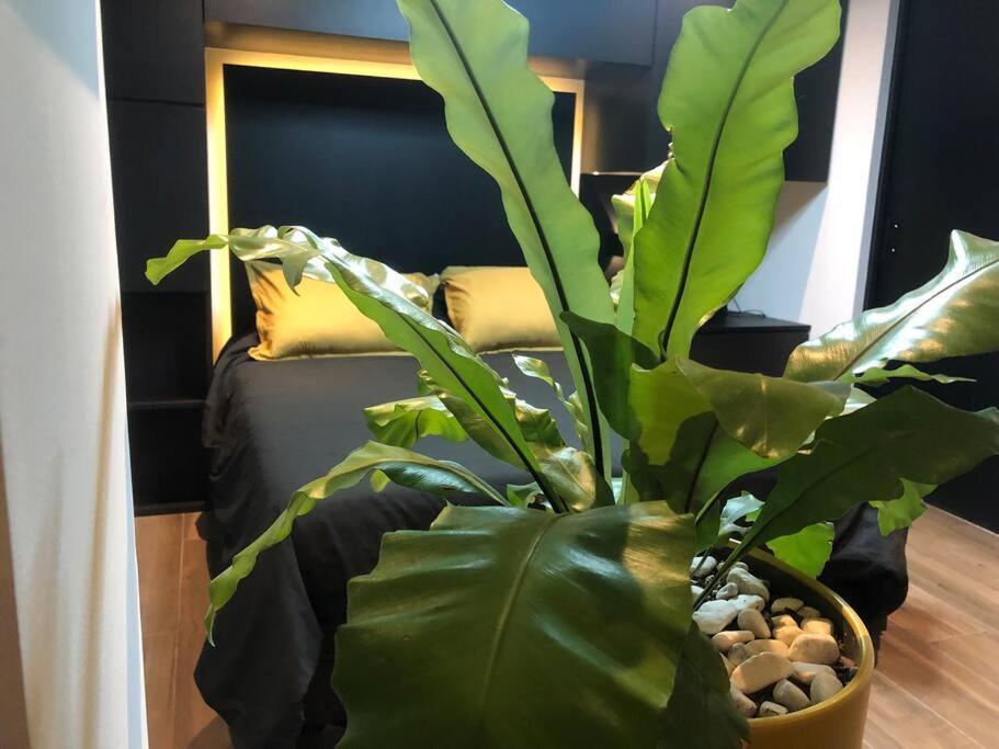 Black Loft. Moderno Y Nuevo, Super Ubicado. Мексико Сити Екстериор снимка